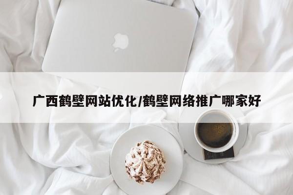 广西鹤壁网站优化/鹤壁网络推广哪家好